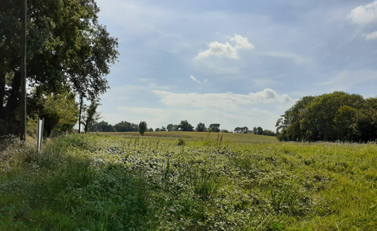 TERRAIN DE 1747M² 1
