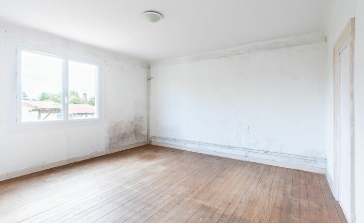 Maison Castel Sarrazin 8 pièce(s) 258 m2