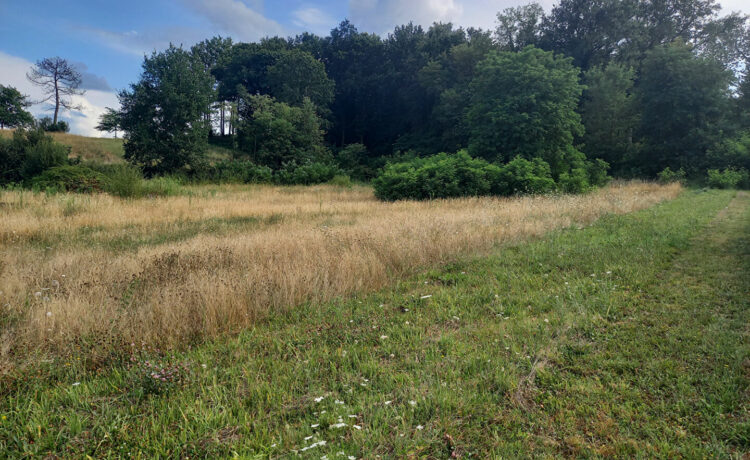 Terrain Horsarrieu 2363 m2 1