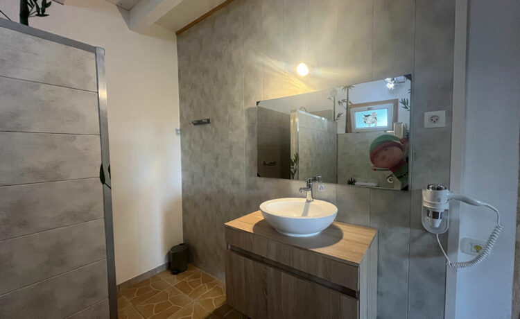 Maison Caupenne 7 pièce(s) 251m2