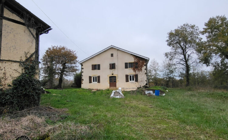 Maison Hagetmau 1 pièce(s) 185.44 m2 1
