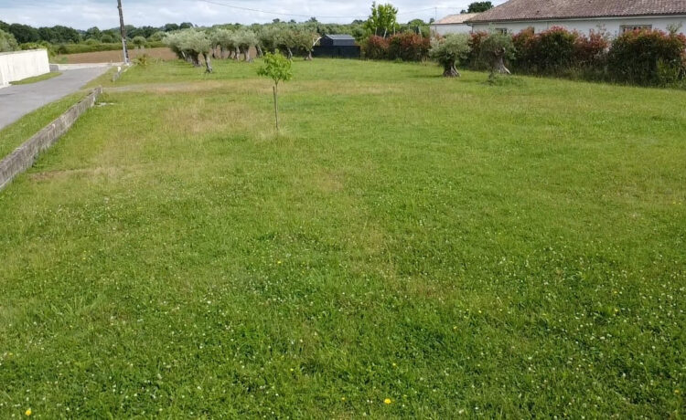 Terrain Hagetmau 880 m2 3
