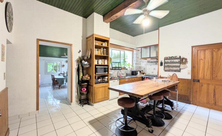 Maison 12 pièce(s) 461 m2 4