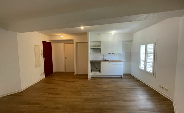 Appartement  1 chambre avec terrasse 1