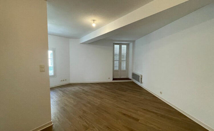 Appartement  1 chambre avec terrasse 2