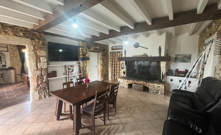 Maison 7 pièce(s) 251m2 3