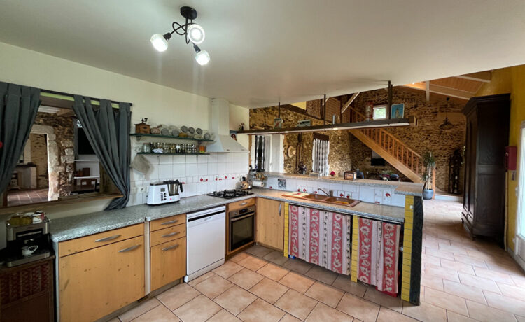 Maison 7 pièce(s) 251m2 4