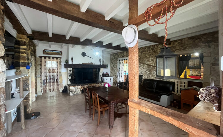 Maison 7 pièce(s) 251m2