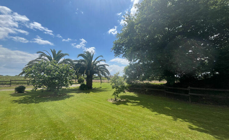 Maison 7 pièce(s) 251m2