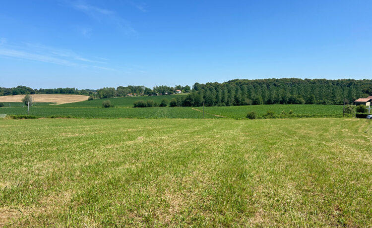 Terrain Hagetmau 1484 m2 3