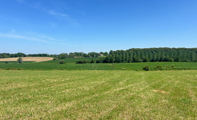 Terrain Hagetmau 1410 m2 1