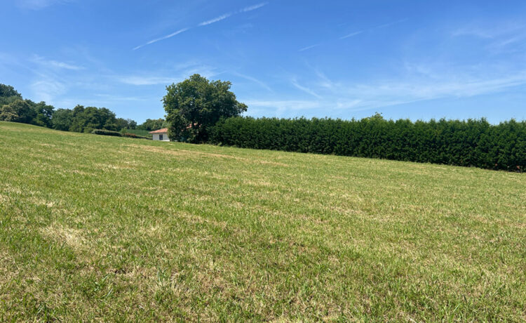Terrain Hagetmau 1410 m2 4
